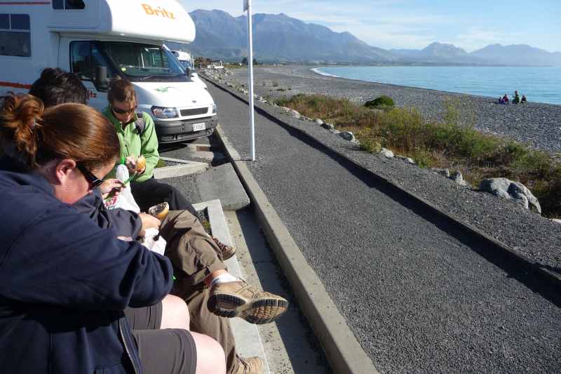 Nieuw-Zeeland 2011 - 1192
